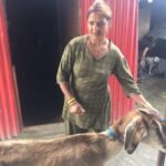 Goat support for a family