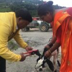 Livestock support for women