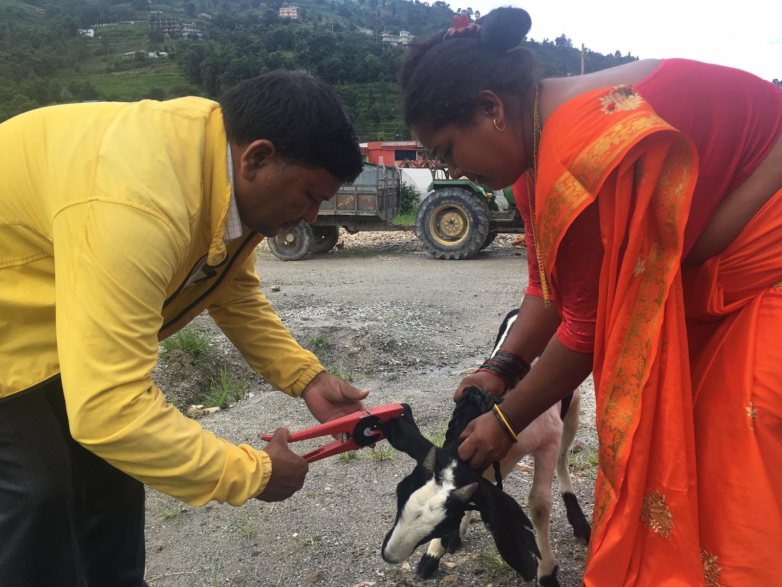 Livestock support for women