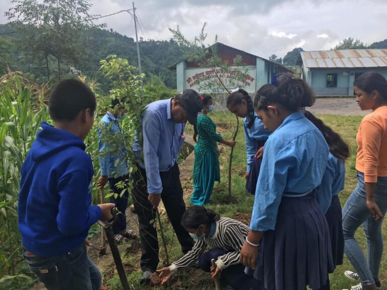 Students and teachers planting trees